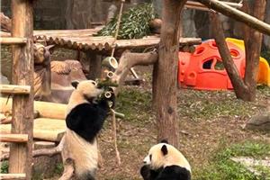 Kitajska v vsej svoji veličini I 2026